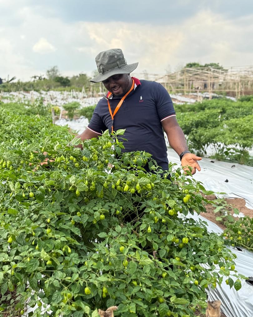 sustainable agriculture