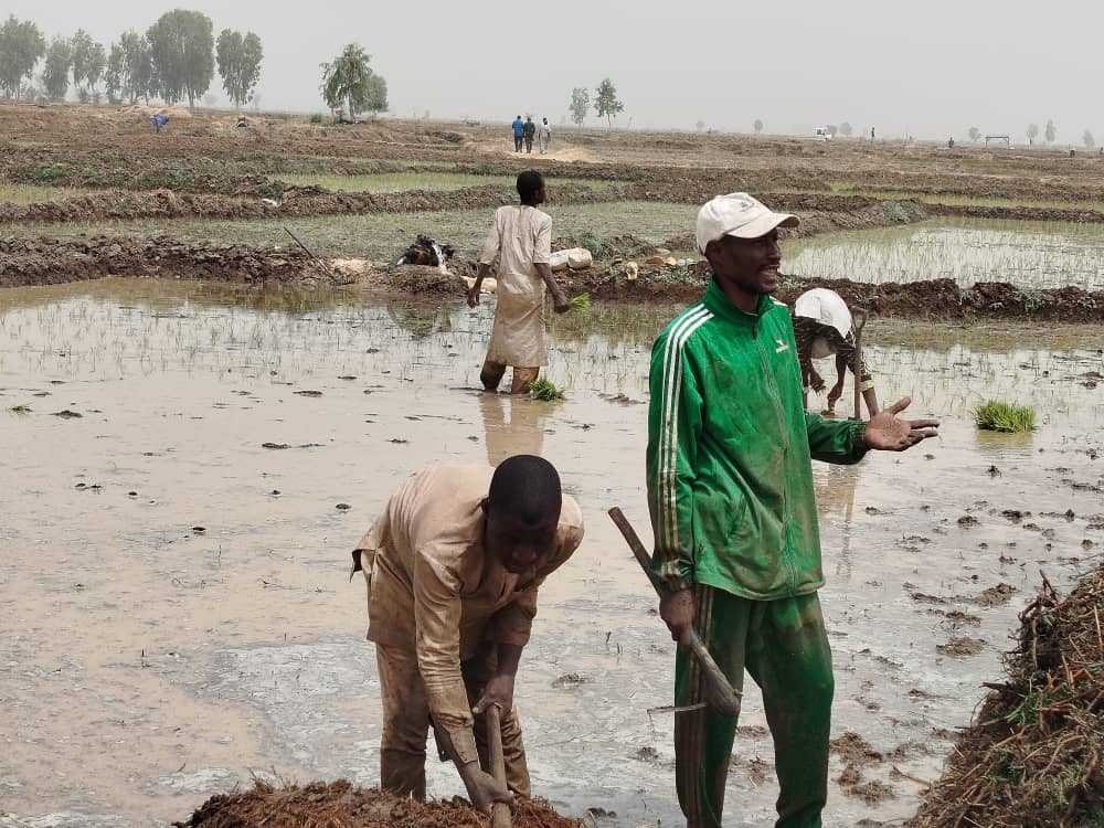 Building Climate Resilience in Agricultural Communities: A Community-Centered Approach