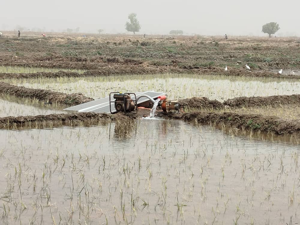 Solar-powered water pumping system