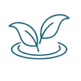 YELF Climate Trust Foundation